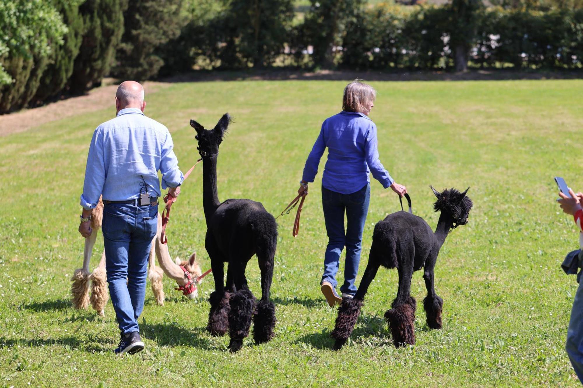 Agroturismo Fattoria Casabianca *
