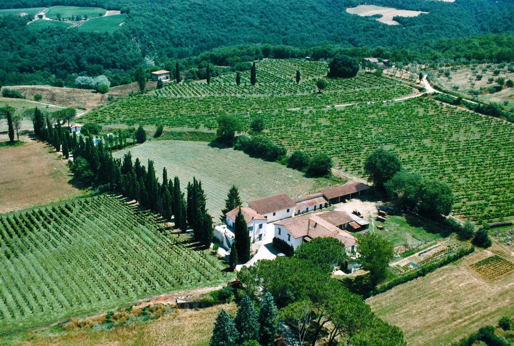 Fattoria Casabianca