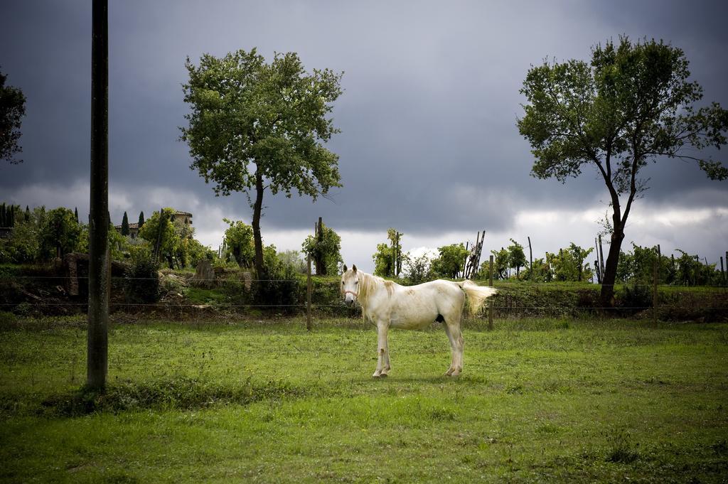 Agroturismo Fattoria Casabianca